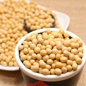 Soybean GMO & NON GMO