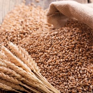 Wheat